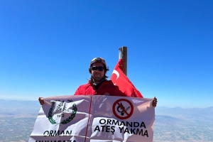 Zirve disiplin ister