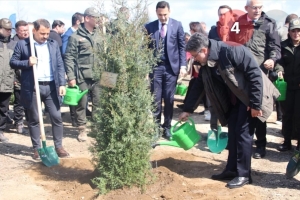 300.000 Bin Fidan toprakla buluştu