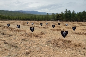 6 Şubat Deprem Şehitleri Ormanı 