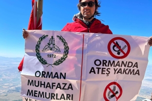 Zirve disiplin ister