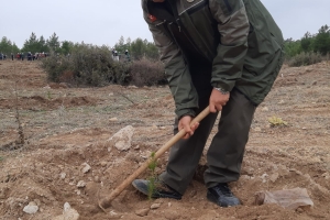 6 Şubat Deprem Şehitleri Ormanı 