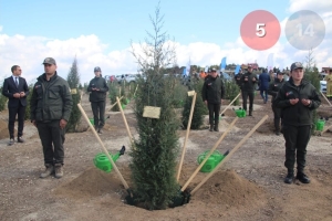 300.000 Bin Fidan toprakla buluştu