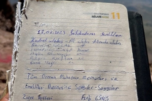 Zirve disiplin ister