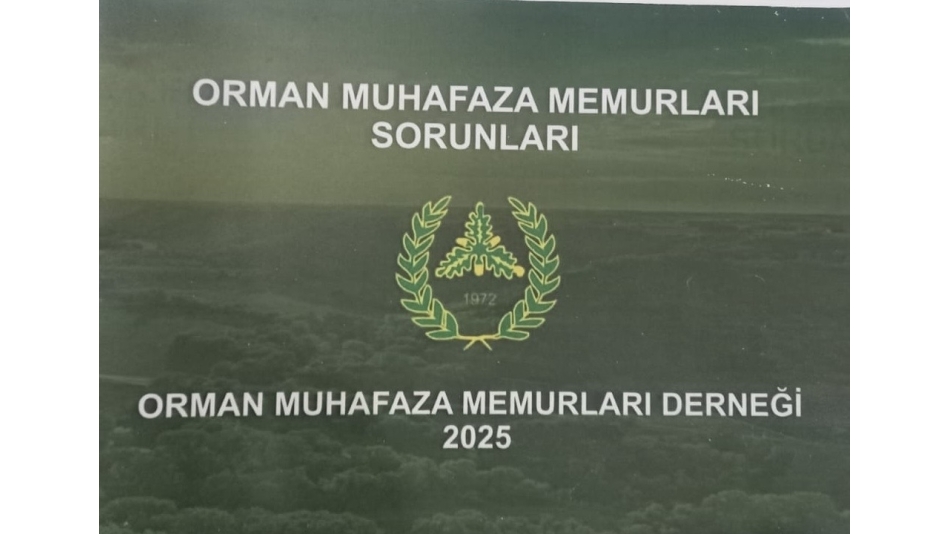 Sorunlar - Çözümleri