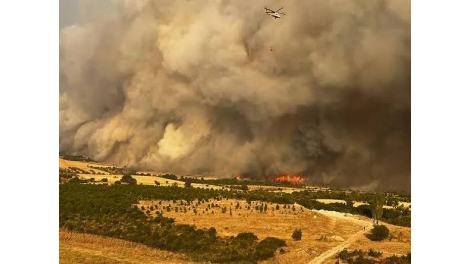 Avrupa Korucu Federasyonu – Avrupa genelindeki tüm Ormancılara Destek Paylaşımı: