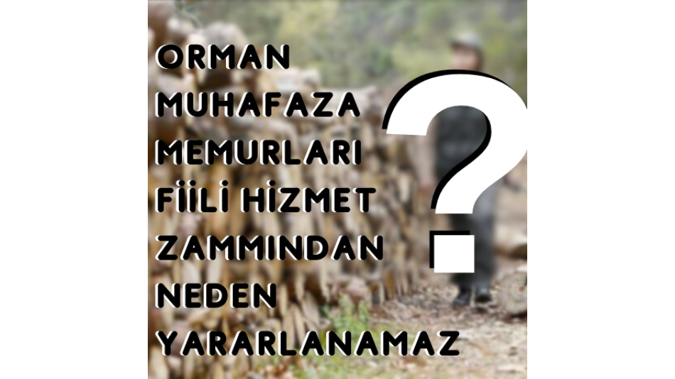 ORMAN MUHAFAZA MEMURLARI FİİLİ HİZMET ZAMMINDAN NEDEN YARARLANAMAZ?
