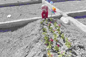 Şehit Ailesine Taziye