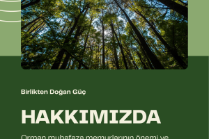 HAKKIMIZDA
