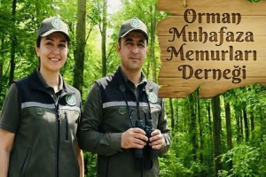 Fiili Hizmet Süresi Zammı (Yıpranma Payı) Ve Orman Muhafaza Memurları