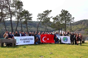 Hamsilos Tabiat Parkı Yürüyüşü