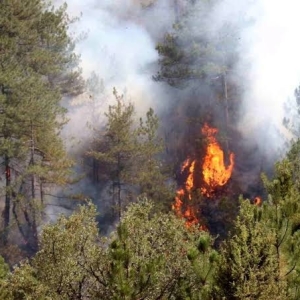 **Sizin Gücünüz Garibana mı Yetiyor?**
