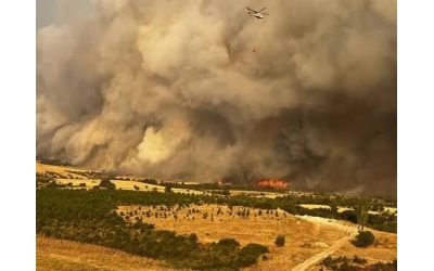 Avrupa Korucu Federasyonu – Avrupa genelindeki tüm Ormancılara Destek Paylaşımı