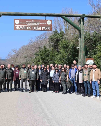Hamsilos Tabiat Parkı Yürüyüşü