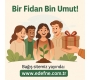EDefne.Com.TR Yayında!!