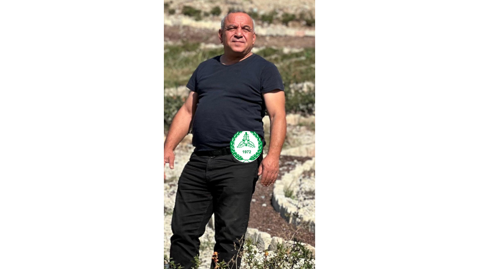 MANİFESTO